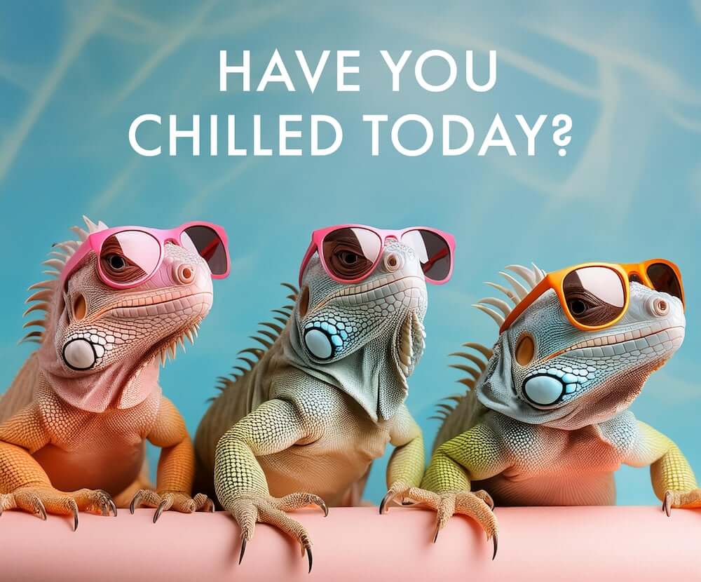 Life is Chill CBD Newsletter Popup